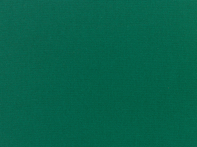Sunbrella Forest Green (5446-0000)